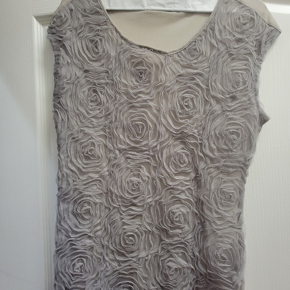 The Limited size Small sheer flowered top